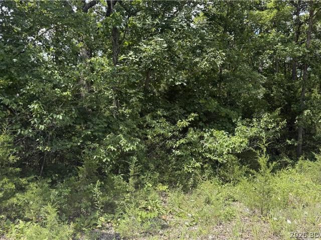 Land for sale in Gravois Mills, Missouri