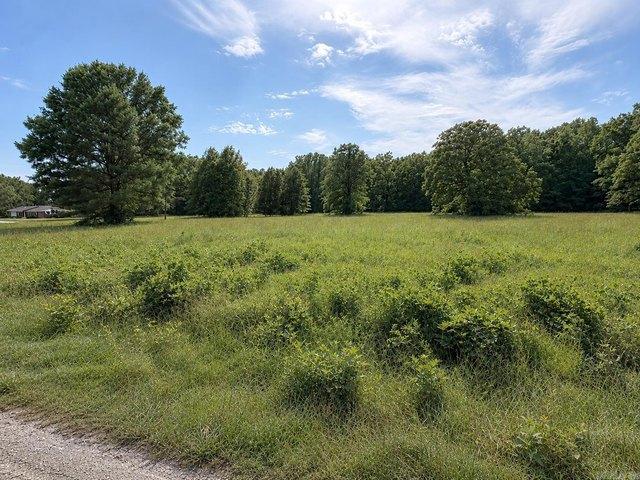Land for sale in Ark