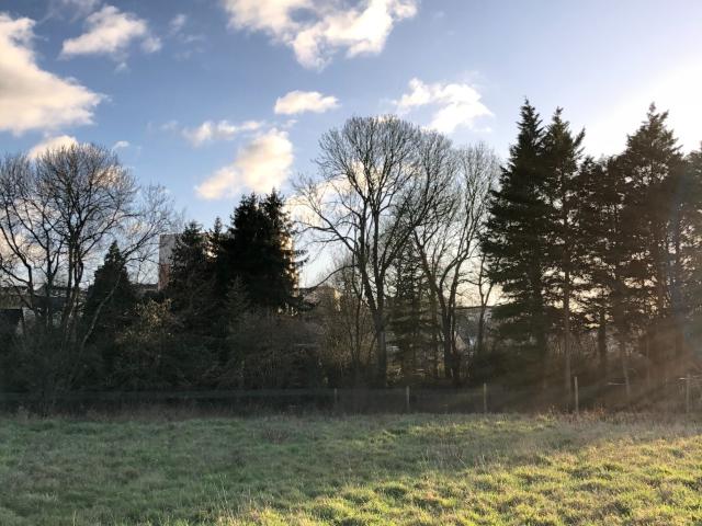 Terrain vente à Le Mans, Pruillé-le-chétif