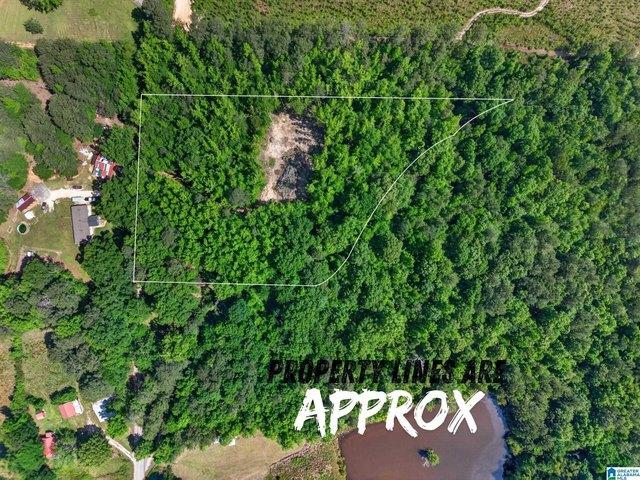 Land for sale in Piedmont, Alabama