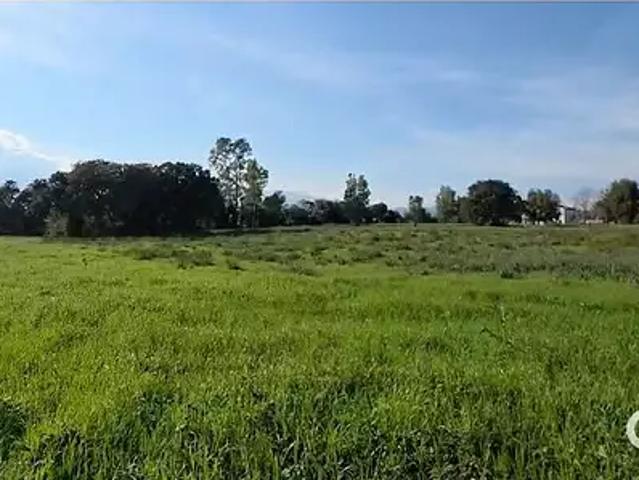 Terrain vente à Corte, Prunelli-di-fiumorbo