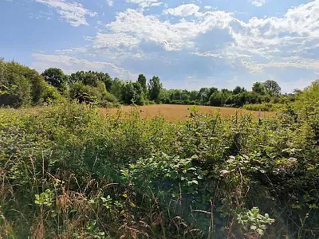 Terrain vente à Romorantin-Lanthenay, Pruniers-en-sologne