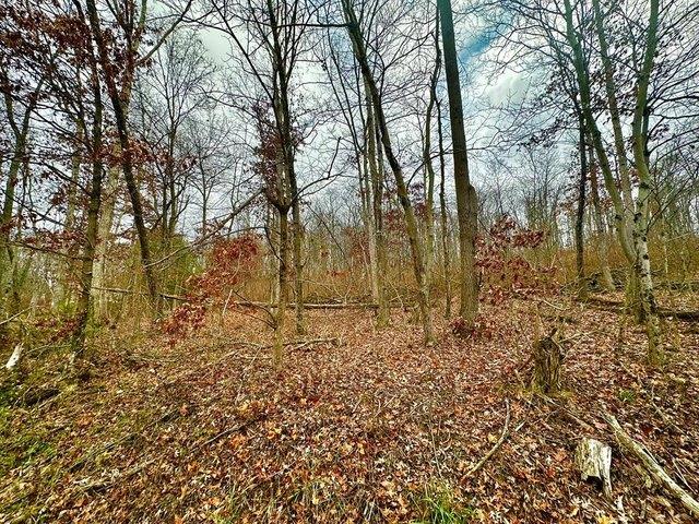 Land for sale in Waverly, Pike County