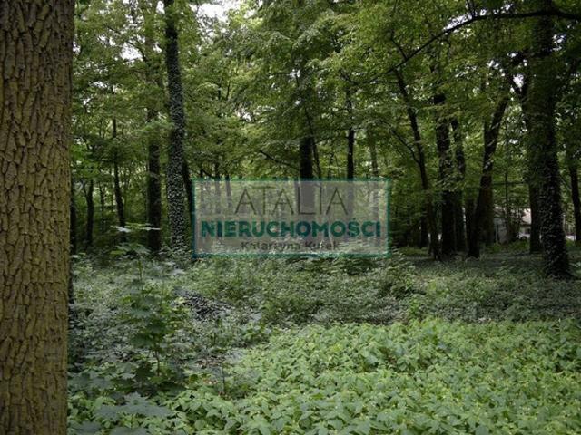 Grunt na sprzedaż w Brwinów, Mazowieckie
