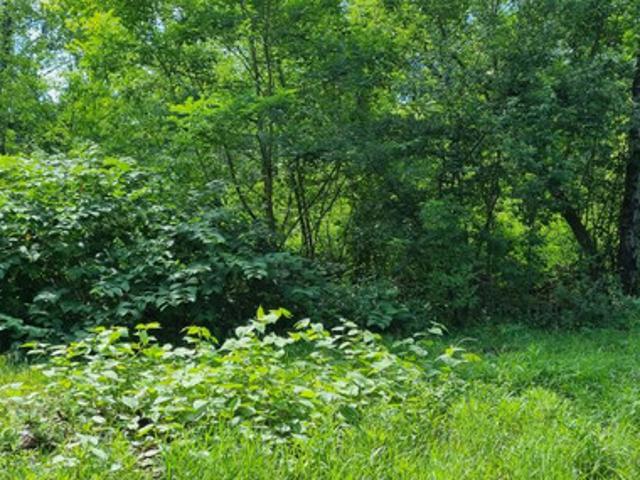 Grunt na sprzedaż w Brwinów, Mazowieckie