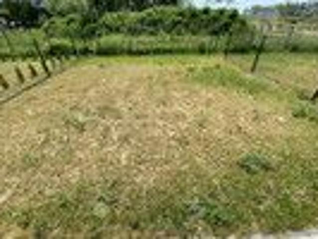 Dom do wynajęcia w Raszyn, Mazowieckie