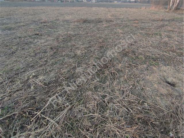 Grunt na sprzedaż w Piastów, Mazowieckie