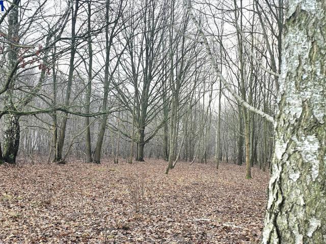 Grunt na sprzedaż w Milanówek, Mazowieckie