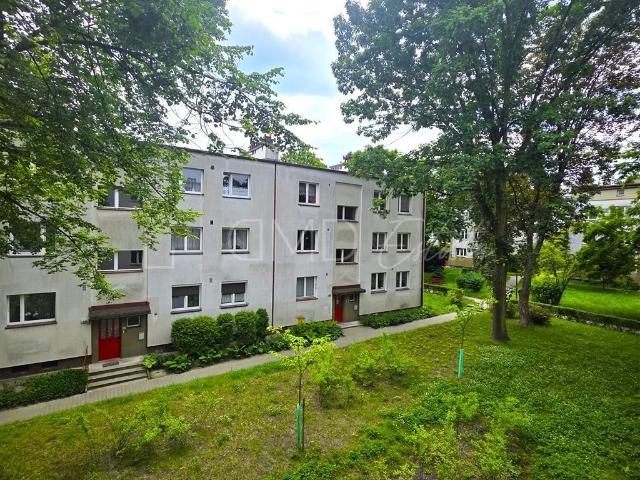 Mieszkanie do wynajęcia w Katowice, Śląskie