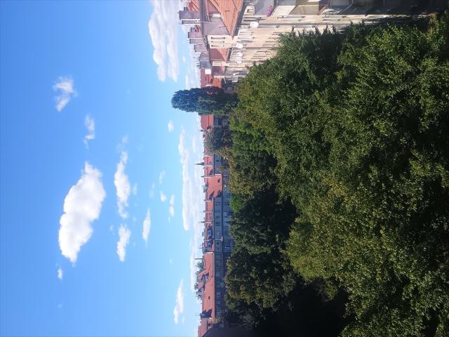 Mieszkanie do wynajęcia w Wrocław, Dolnośląskie