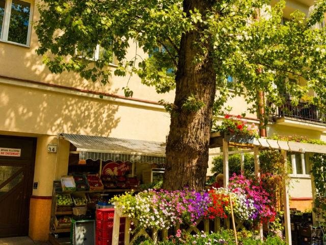 Mieszkanie do wynajęcia w Stara Ochota, Warszawa