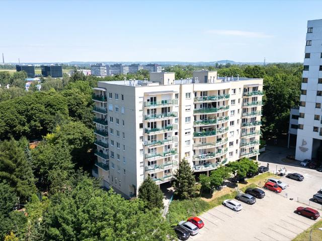 Mieszkanie do wynajęcia w Katowice, Śląskie
