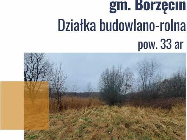 Grunt na sprzedaż w Borzęcin, Małopolskie