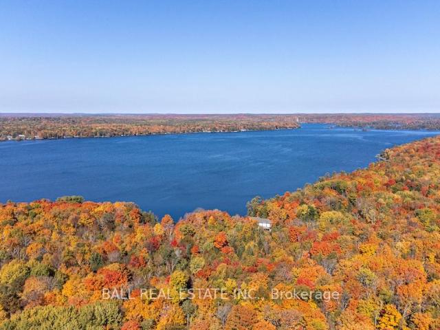 Land for sale in Douro-dummer, Ontario