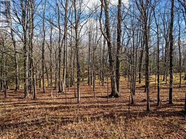 Land for sale in Lanark Highlands, Ontario