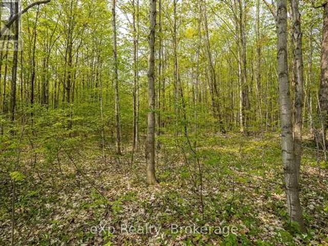 Land for sale in Grey, Ontario