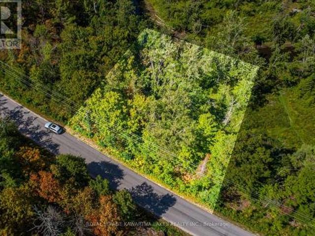 Land for sale in Trent Lakes, Central Ontario