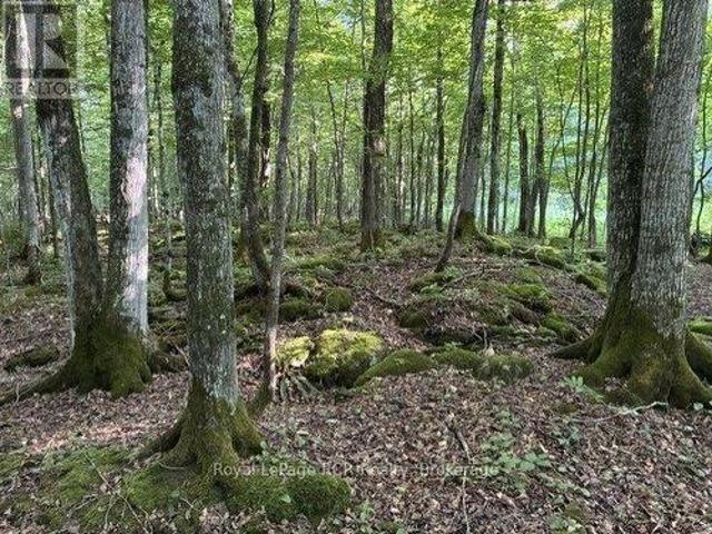 Land for sale in Oliphant, Ontario