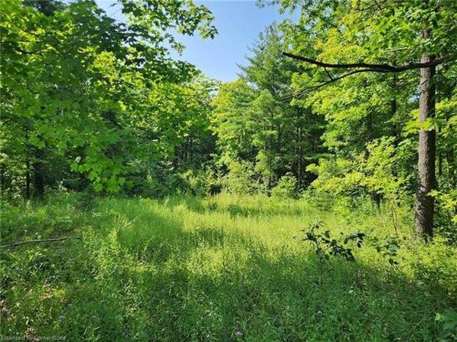 Land for sale in Hamilton Land for sale in Hamilton