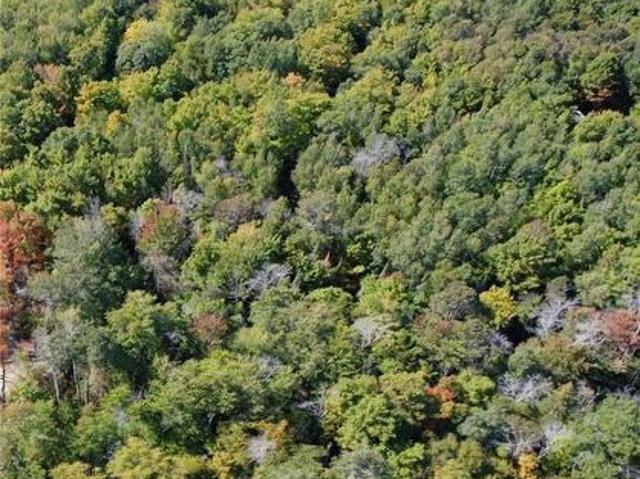 Land for sale in Northeastern Manitoulin, Ontario