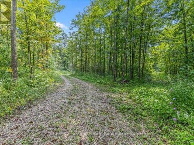 Land for sale in Grey, Ontario