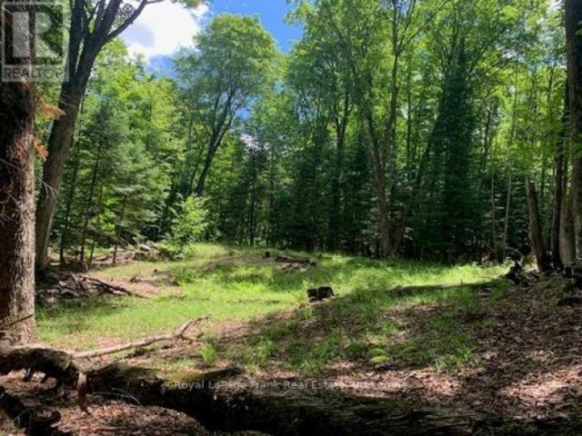 Land for sale in Dysart Et Al., Ontario