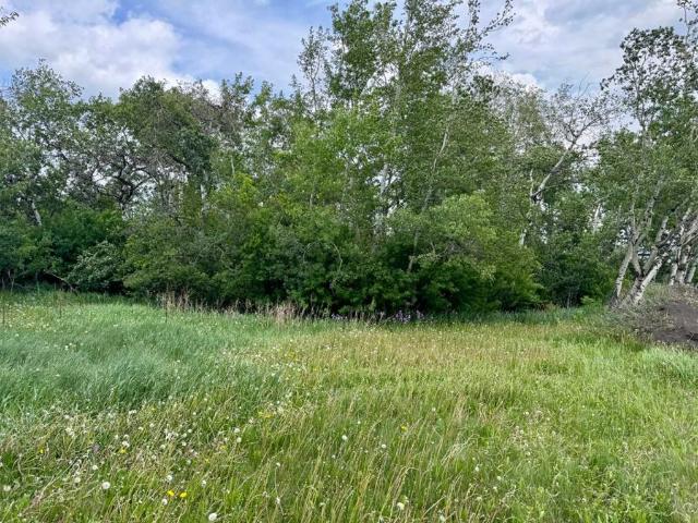 Property for sale in Sexsmith, Alberta