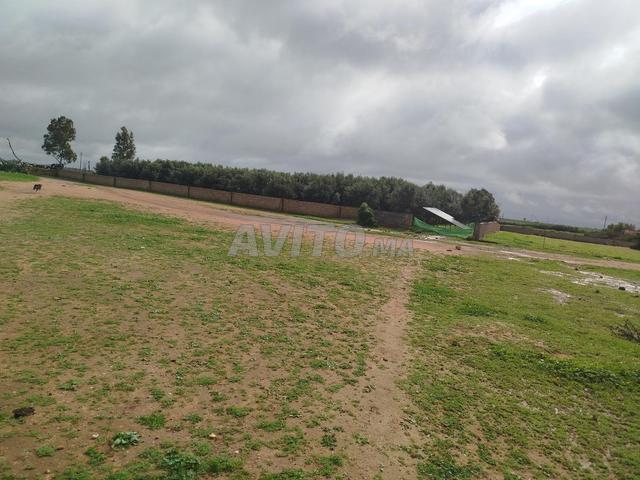 Propriété vente à Zmamra, Gharb-Chrarda-Beni Hssen