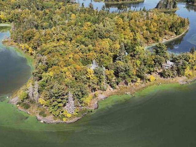 Property for sale in Mcintosh, Ontario