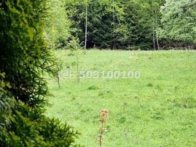 Mieszkanie na sprzedaż w Krynica-zdrój, Małopolskie