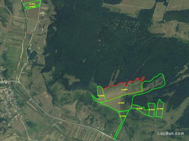Teren pentru Construcții vânzări în Prunisor, Mehedinți