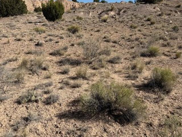 Land for sale in Abiquiu, New Mexico