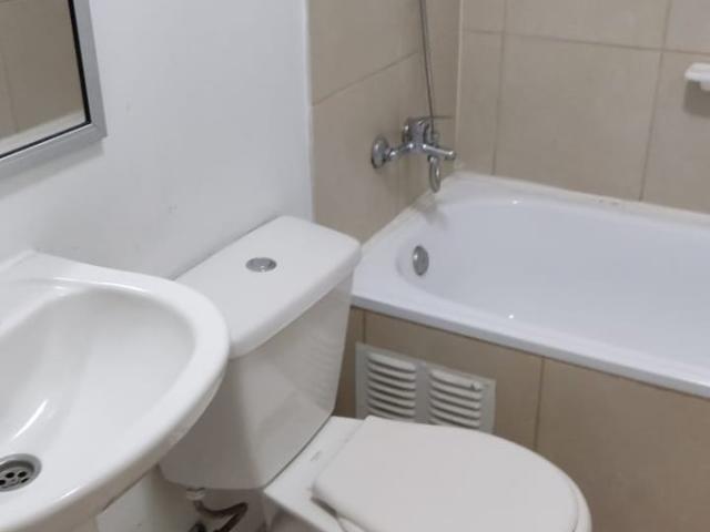 Puente Alto, Luis Matte Larraín