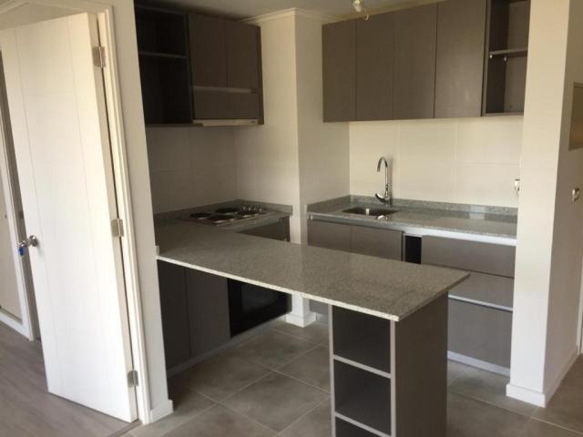 Puente Alto, Vicuña Mackenna/Volcan Quizapu