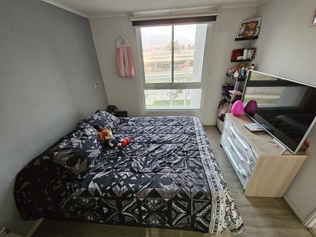 Puente Alto, Vicuña Mackenna/Volcan Quizapu