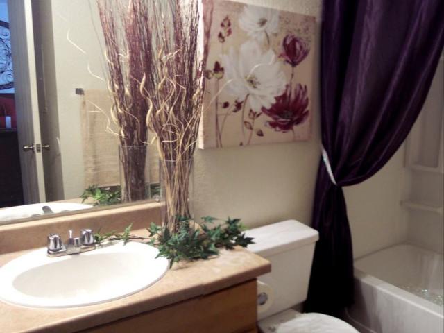 Apartment for rent in Tucson