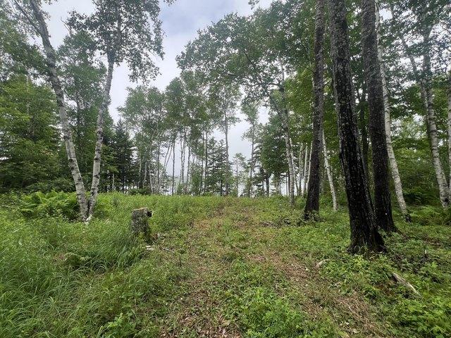 Land for sale in Machiasport, Maine