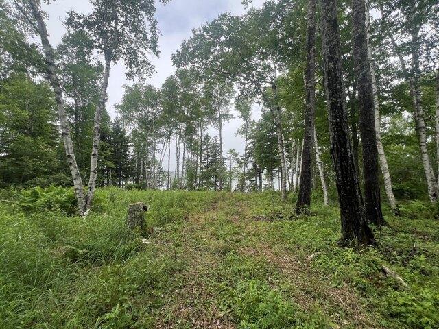 Land for sale in Machiasport, Maine