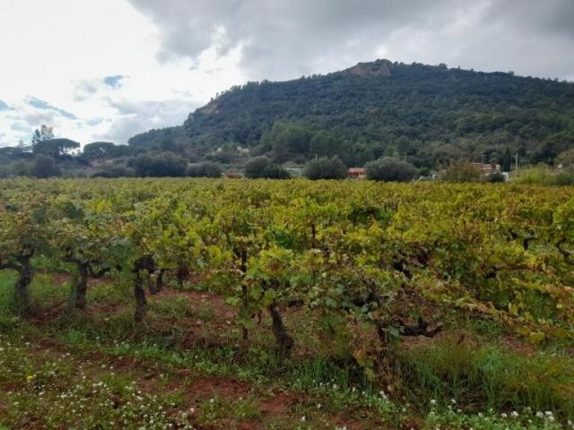 Terrain vente à Puget-Ville, Var