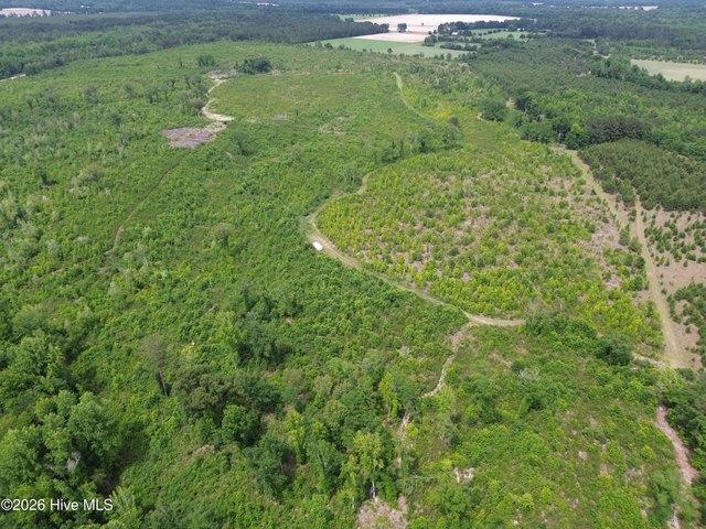 Land for sale in Stapleton, Georgia