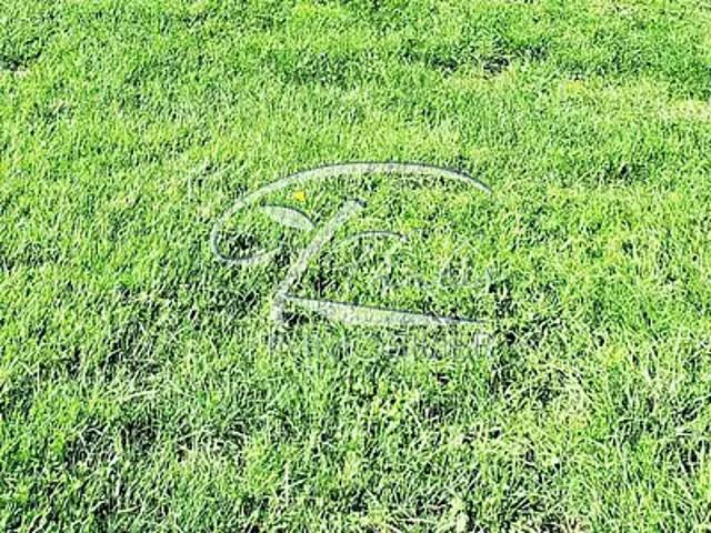 Terrain vente à France métropolitaine, Pugnac