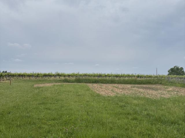 Terrain vente à Blaye, Pugnac