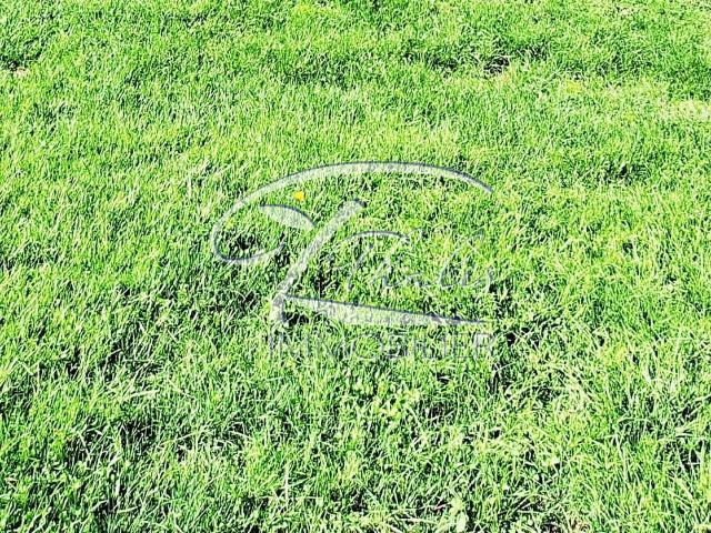 Terrain vente à France métropolitaine, Pugnac