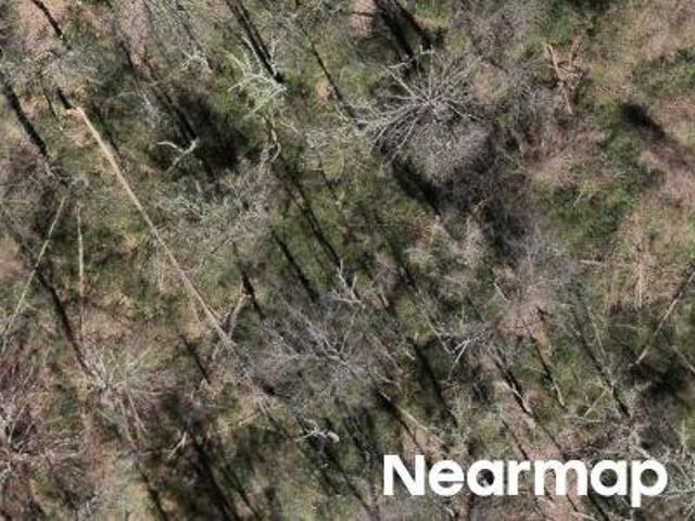 Land for sale in Brewster