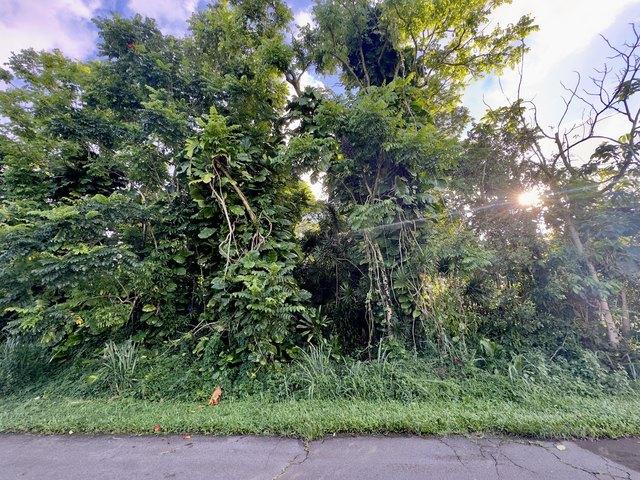 Land for sale in Pahoa, Hawaiʻi County