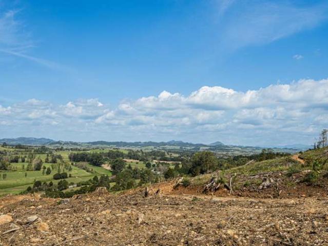 Property for sale in Northland