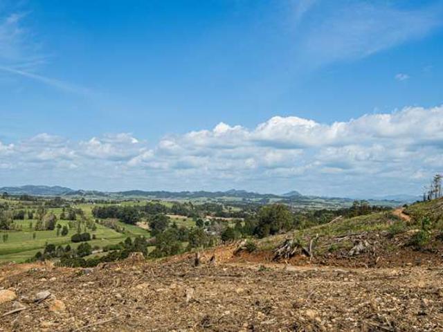 Property for sale in Northland