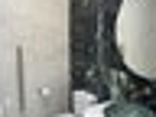 Apartment for rent in Kawau Island