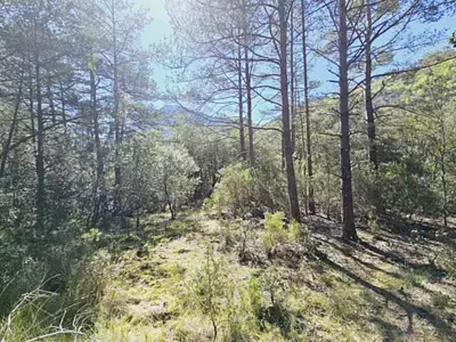 Terrain vente à Limoux, Puilaurens