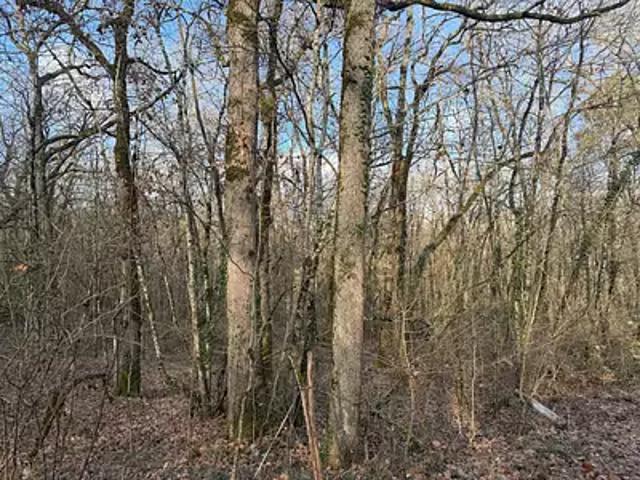 Terrain vente à Villeneuve-sur-Lot, Pujols